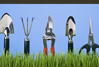 Gardening Tools and Equipment